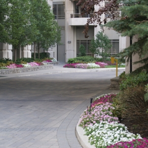 commercial driveway and flowers