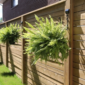 backyard fence with hanging plants