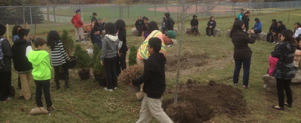 Community tree planting