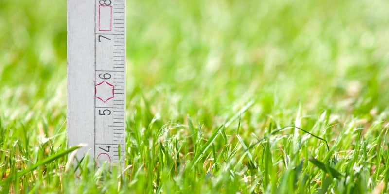 Measuring height of grass