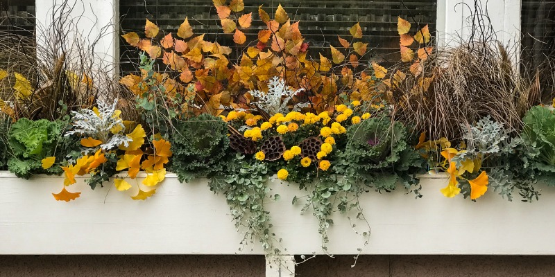 Fall arrangement in window sill