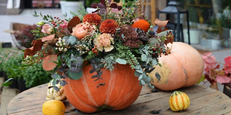 Flower arrangement in pumpkin