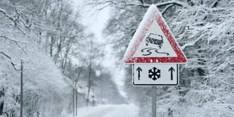 Snow on trees and road signs