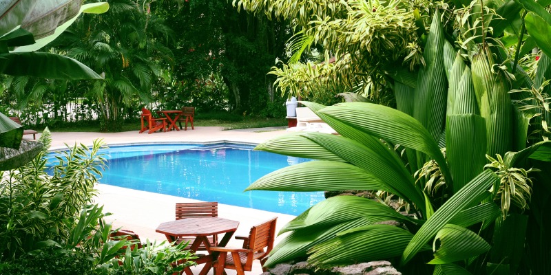 Here Are Some Tropical Landscaping Ideas, Tropical Landscape Ideas Around Pool