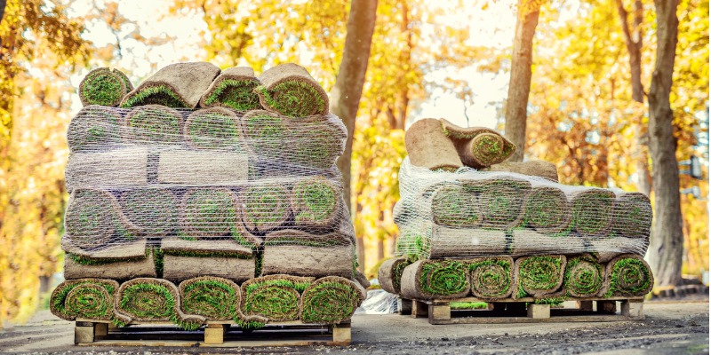 Stack of sod rolls