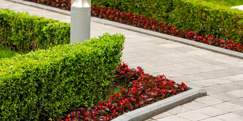Manicured garden beds with boxwoods