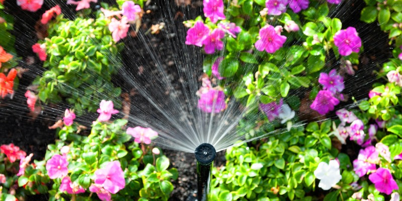 Sprinkler in use in flowerbed