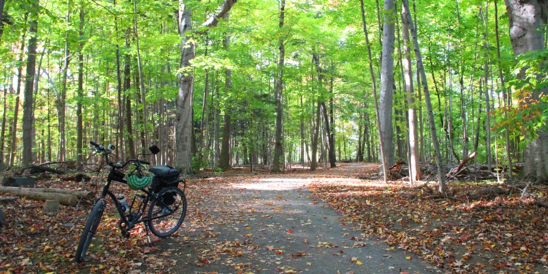River path with bike in forest